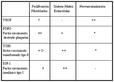 Los diferentes factores de crecimiento (GFs) tendrán una acción determinada en la célula en mayor o menor grado dependiendo de los receptores celulares específicos (adapatado de Anitua,2000).